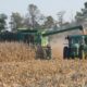 OSHA Safety Guidelines for Agriculture Operations
