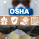 Top 10 OSHA Violations of 2024